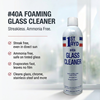 Picture of 1st Ayd Foaming Glass Cleaner  (No Ammonia) 12 x 19 oz/case