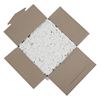 Picture of Empress Jumbo Clear Straw Paper Wrapped  7.75"  boxed 10/500 cs